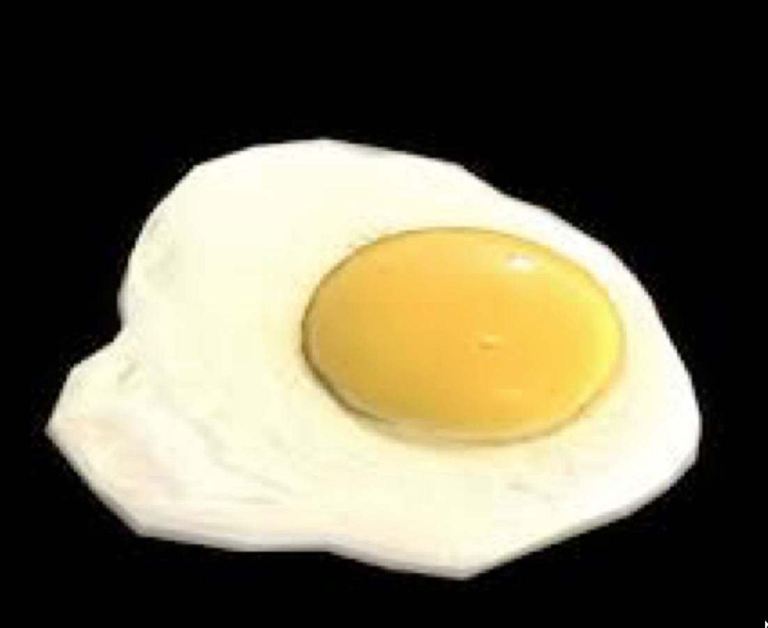 Egg