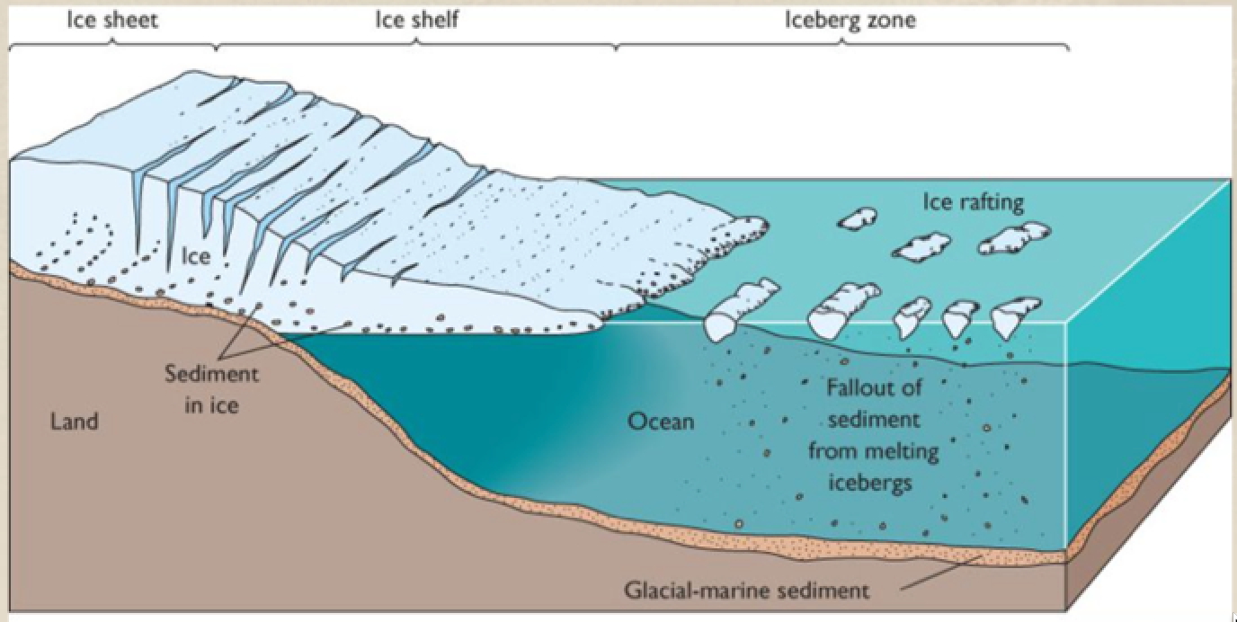 Ice Rafting